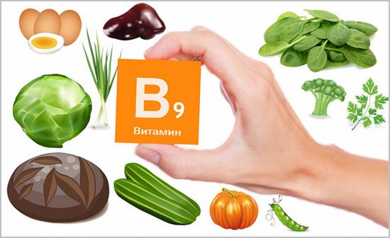 продукты богатые витамином в9